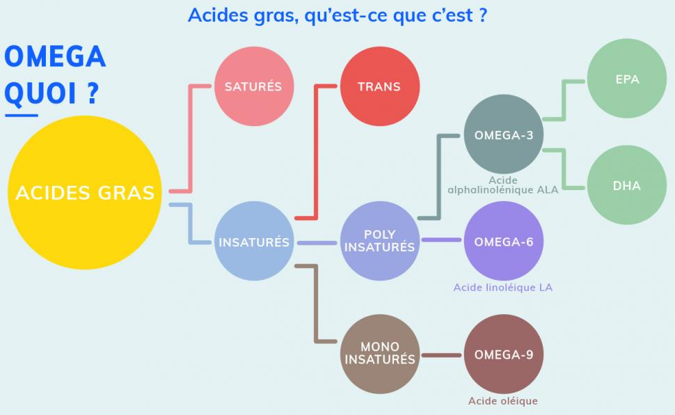 Les Acides Gras, Qu’est-ce Que C’est ? - Acides Gras Et Lipides ...